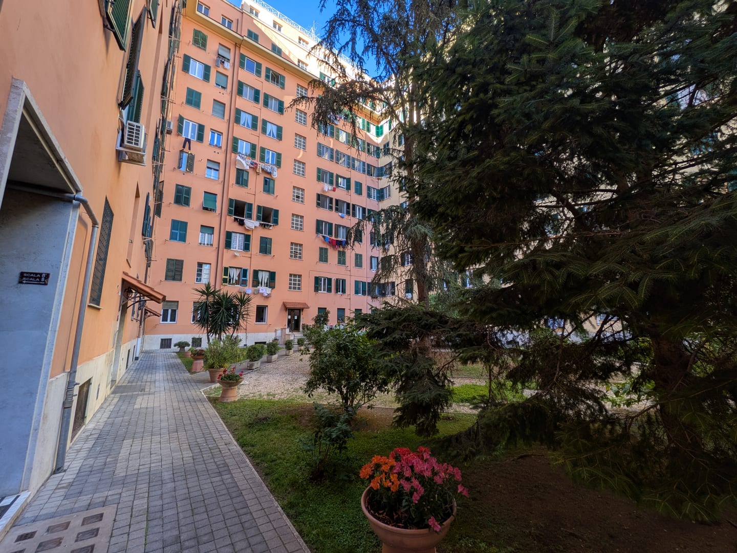 The building's planted courtyard with pines, shrubs and a paved path