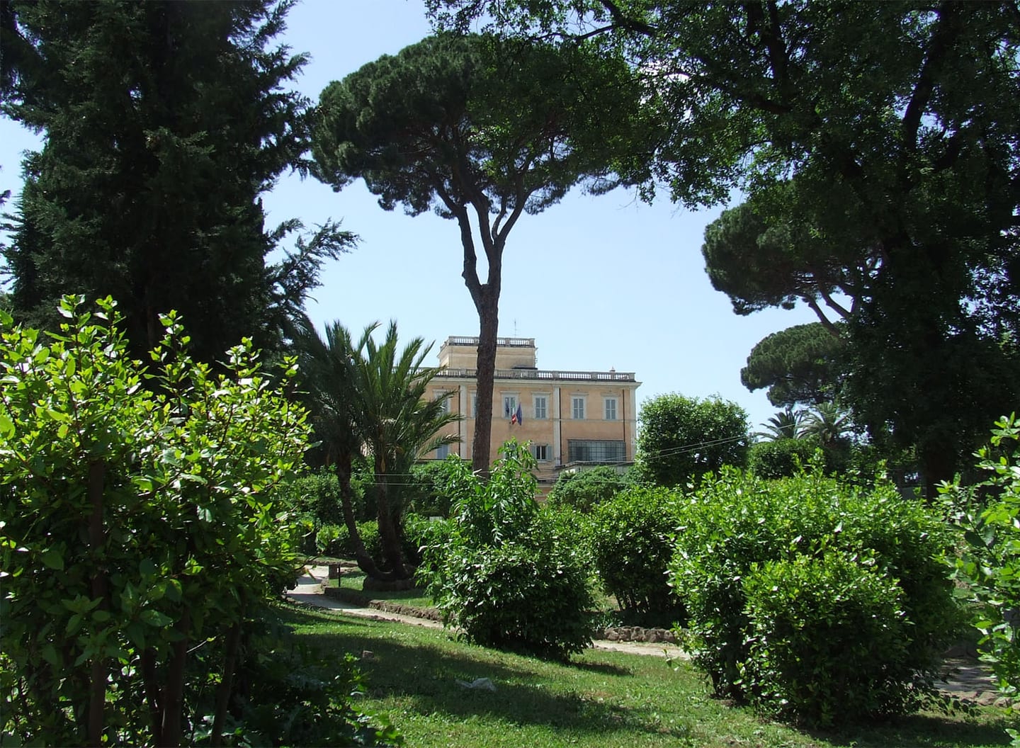 Pini marittimi e palme nel parco pubblico di Villa Celimontana